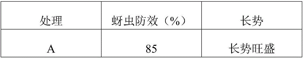 A natural vegetable insecticide and a preparing method thereof