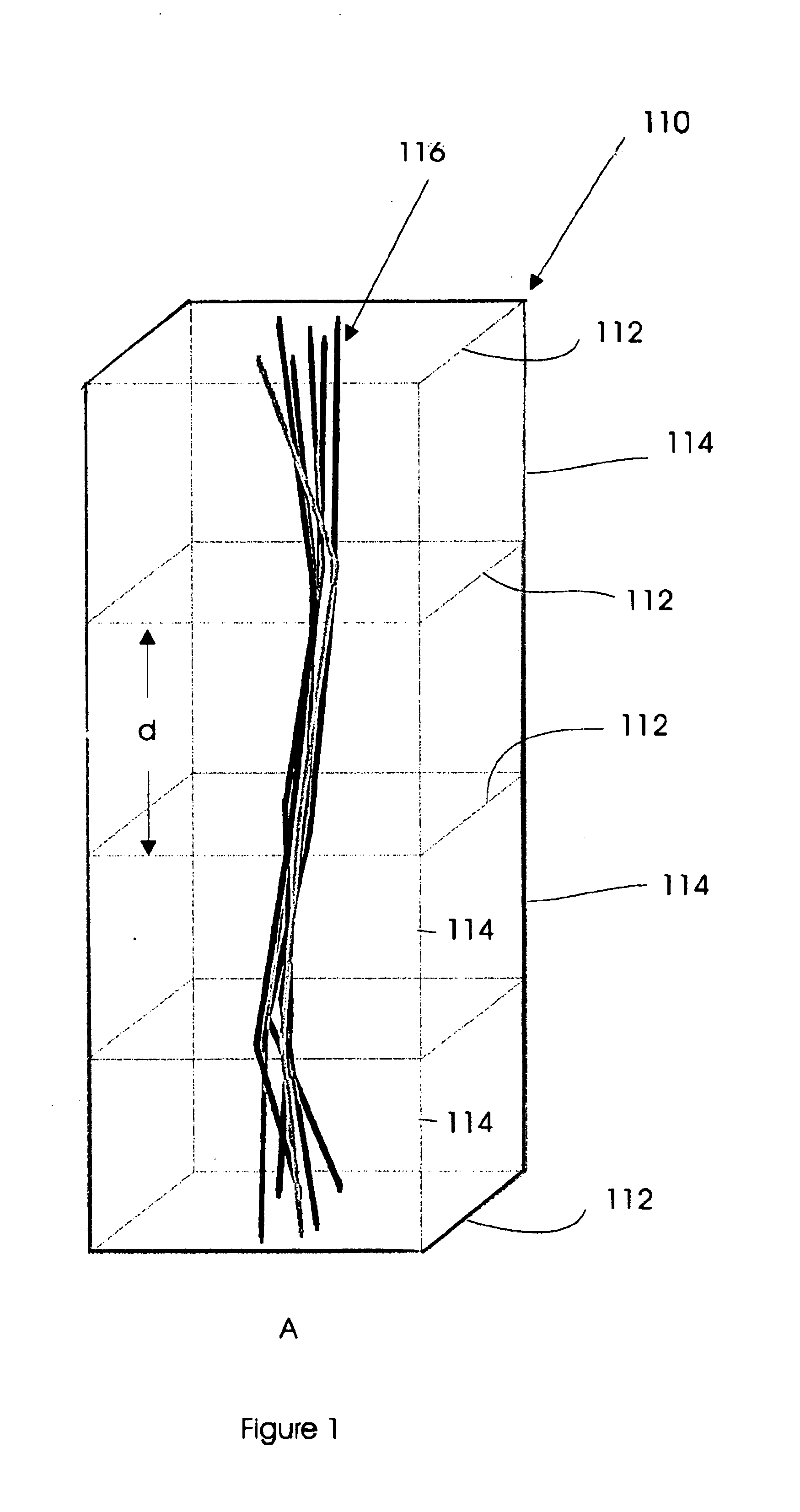 Programs and methods for the display, analysis and manipulation of multi-dimensional data implemented on a computer