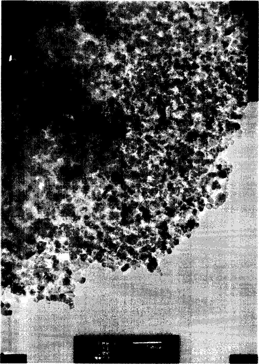 Method for preparing anatase type nano titanium dioxide photocatalyst