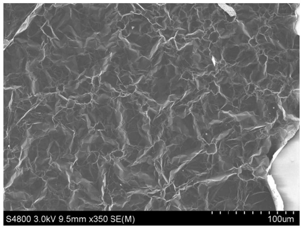 A kind of foamed carbon film and preparation method thereof