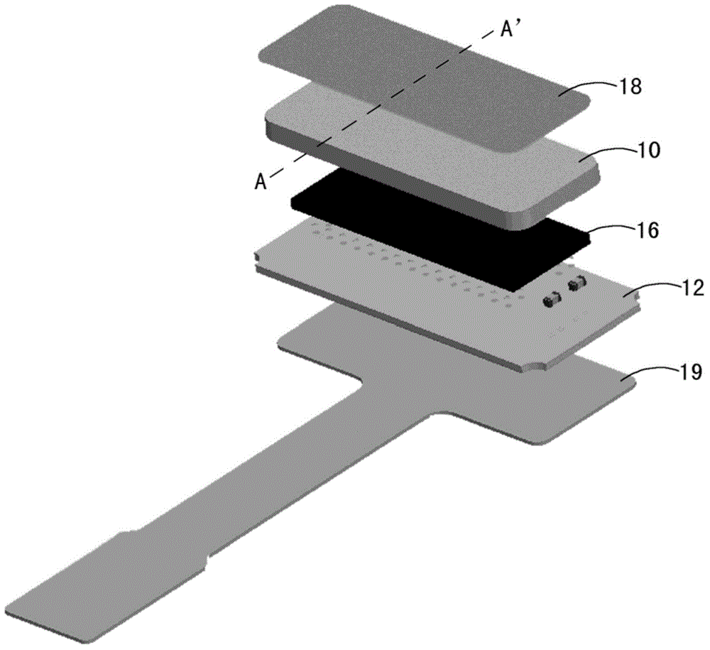 Fingerprint recognition device and terminal device