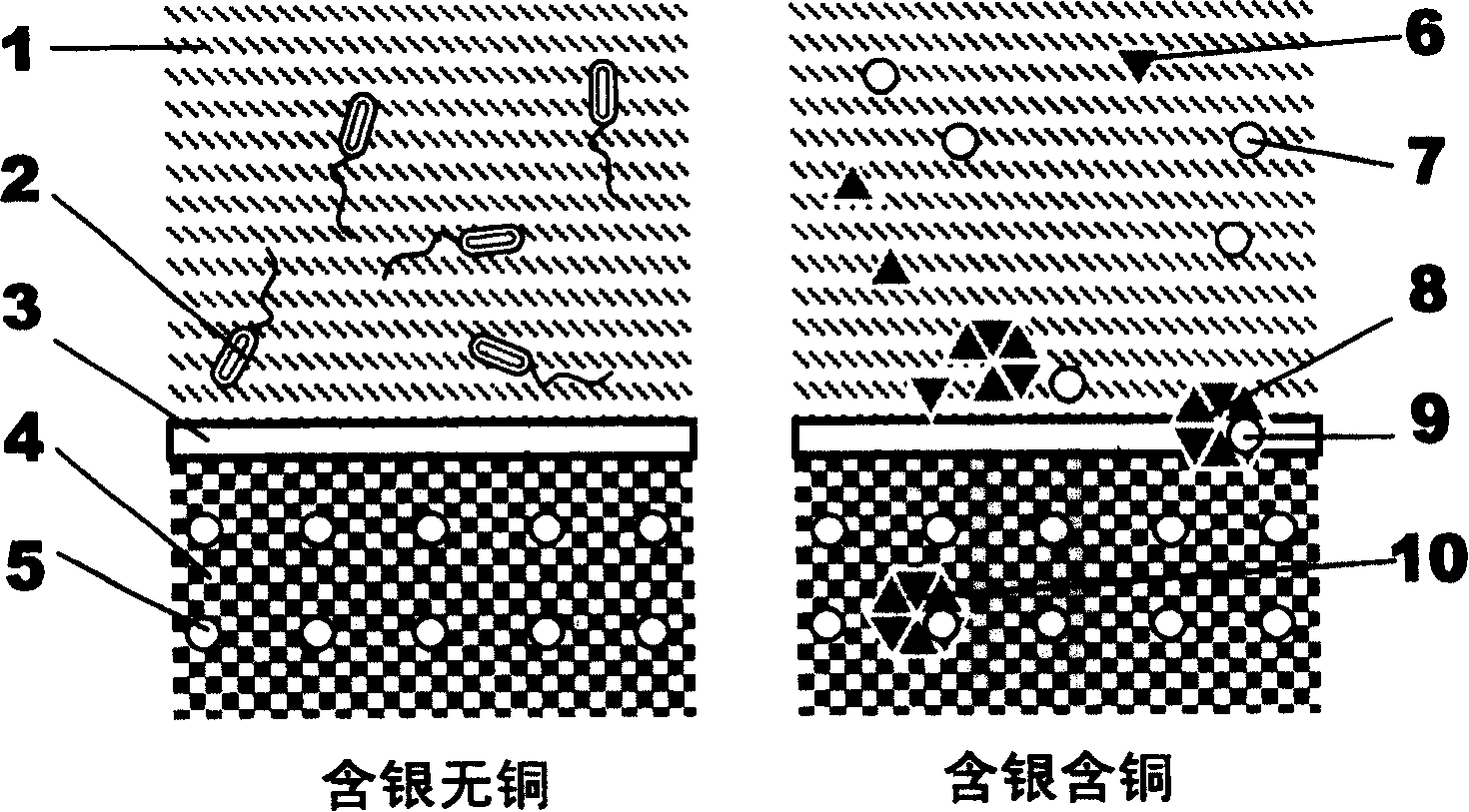 Antibacterial austenitic stainless steel