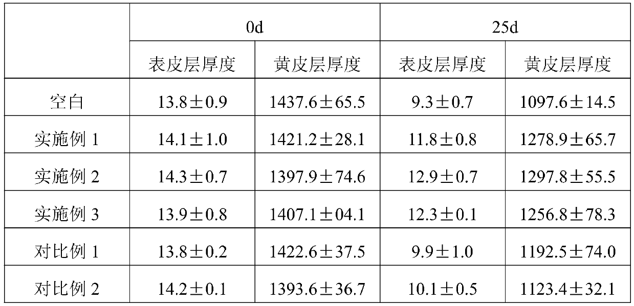 Composite chitosan preservative film for citrus gonggan and preparation method of composite chitosan preservative film