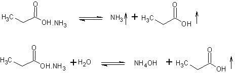 Dispersion type liquid mildew inhibitor and preparation method thereof