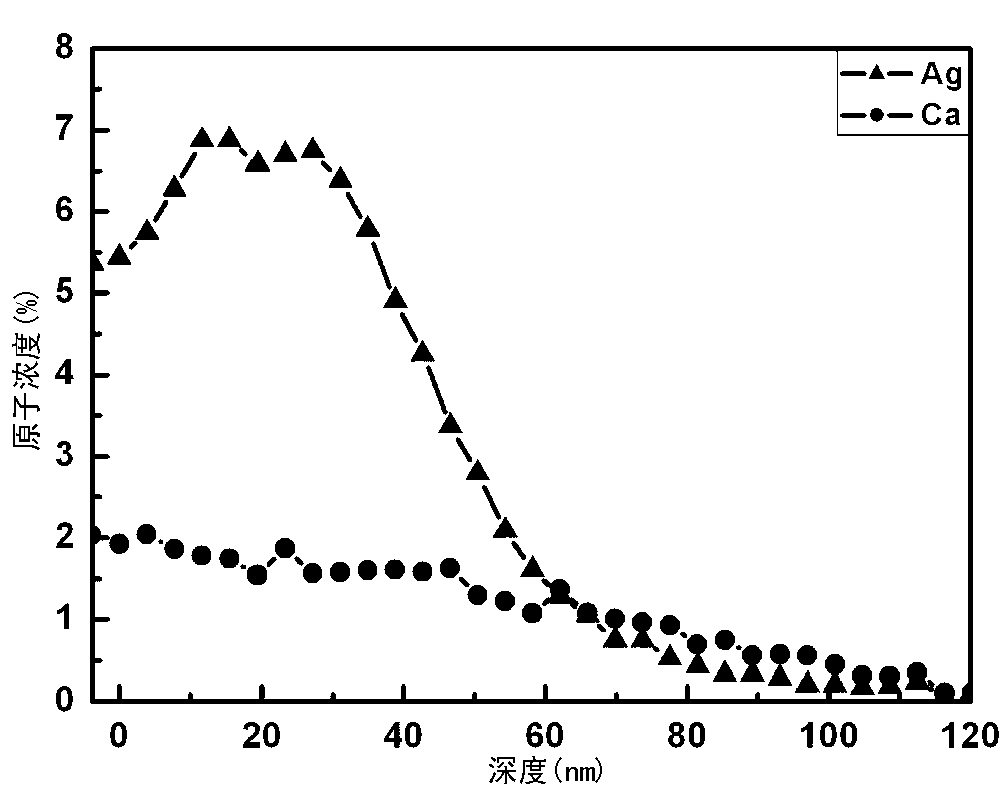 Modification method for titanium surface with osteogenic performance and antibacterial performance