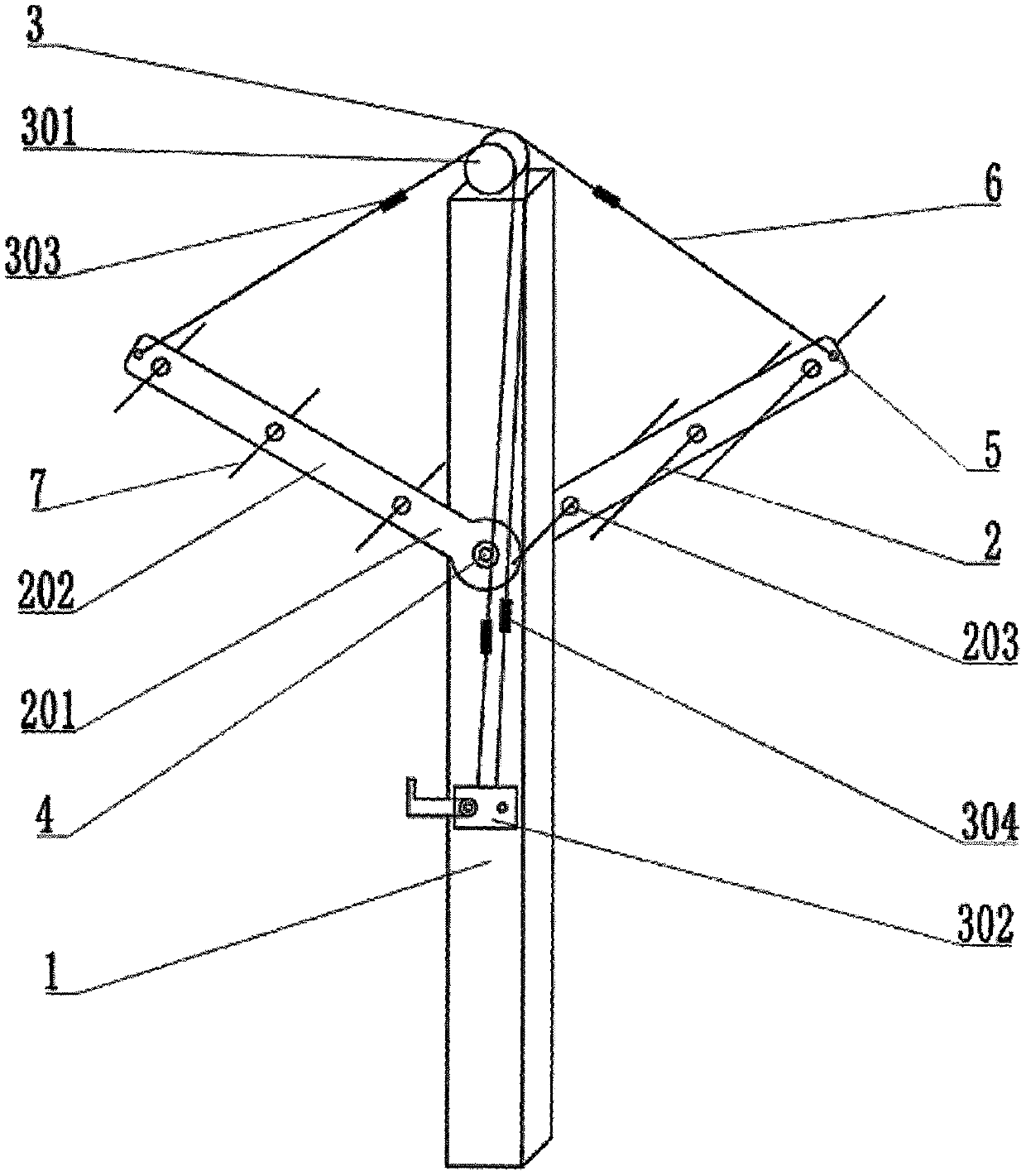 Grape and kiwifruit cultivation trellis