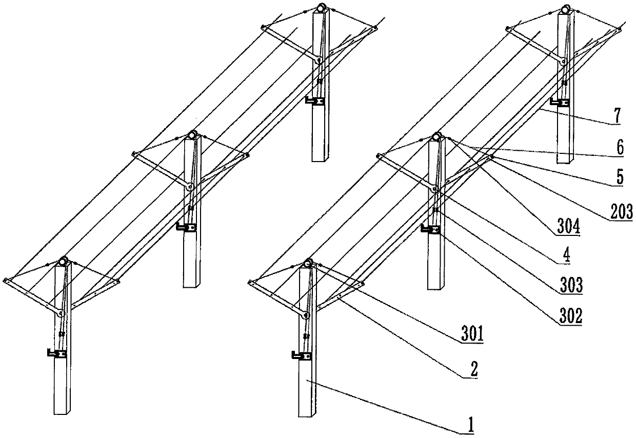 Grape and kiwifruit cultivation trellis