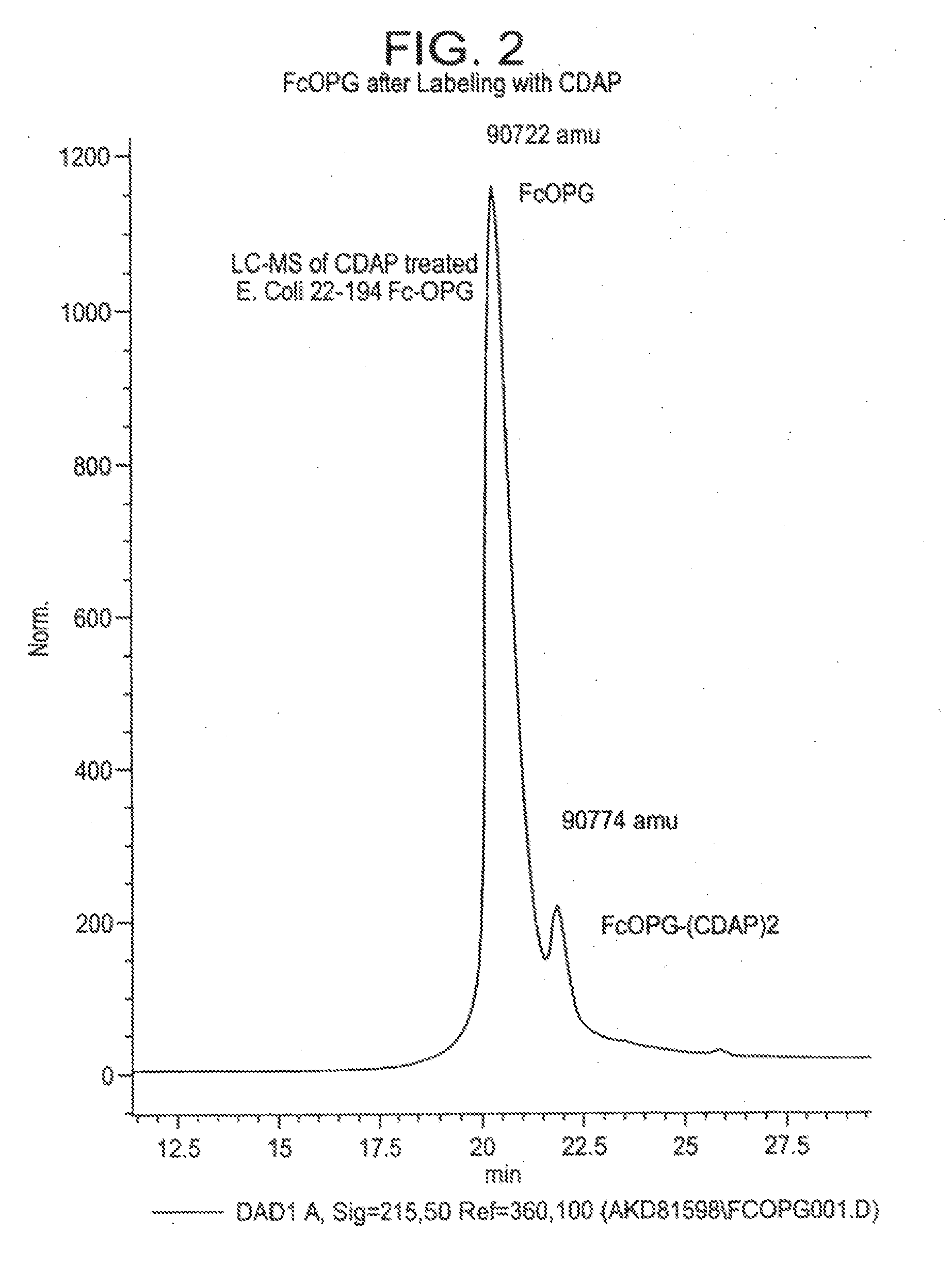 PROCESS FOR CORRECTION OF A DISULFIDE MISFOLD IN Fc MOLECULES