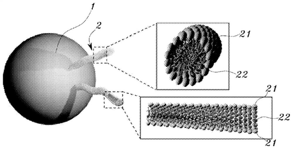 Nanoparticle composite showing improved endocytosis efficiency through surface modification using lipid and manufacturing method therefor