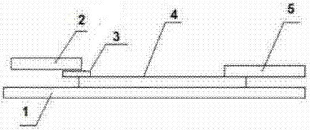 Rapid diagnosis and detection test paper card for detecting swine fever as well as preparation and application method of rapid diagnosis and detection test paper card