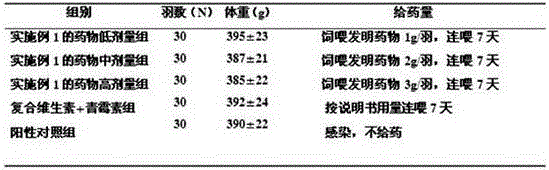 Traditional Chinese medicine composition for preventing and treating chicken infectious anemia and preparation method and application thereof