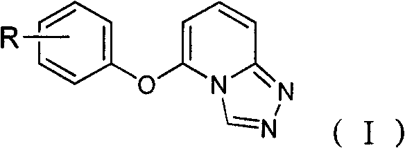 5-substituted phenoxy-1, 2, 4-triazole [4, 3-a] pyridine compound used for antiepileptic medicament, and medical salt thereof