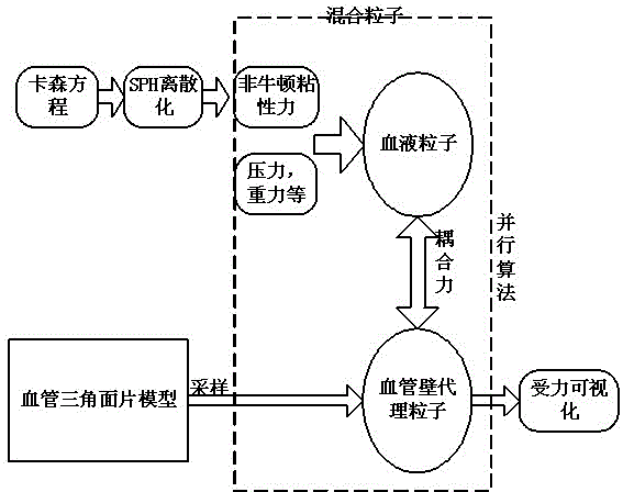 GPU (graphics processing unit) acceleration based real-time hybrid particle blood flow-blood vessel coupling method