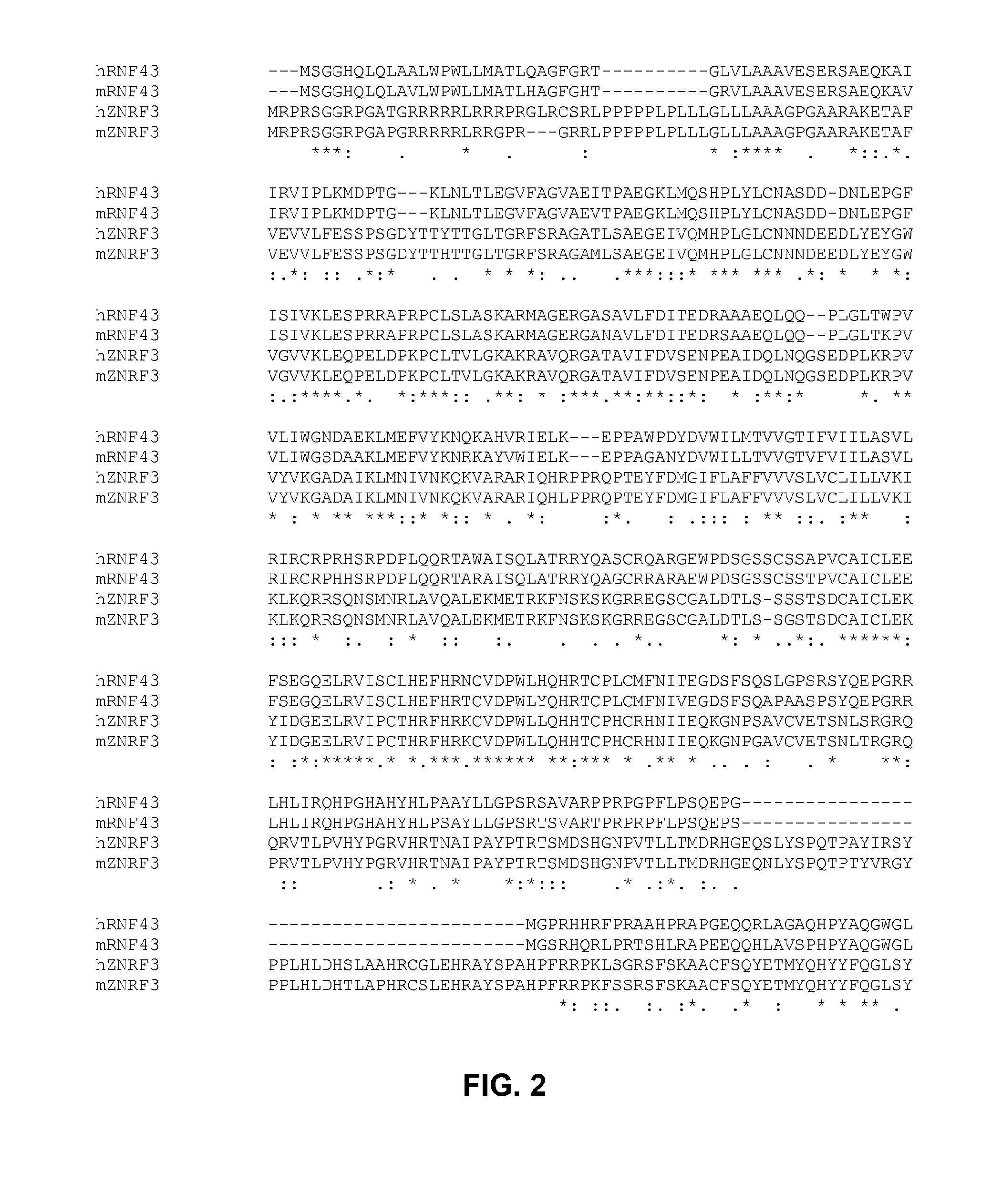 CANCER PATIENT SELECTION FOR ADMINISTRATION OF Wnt SIGNALING INHIBITORS USING RNF43 MUTATION STATUS