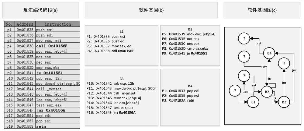 Binary code tracing method for multi-granularity information fusion under software gene perspective