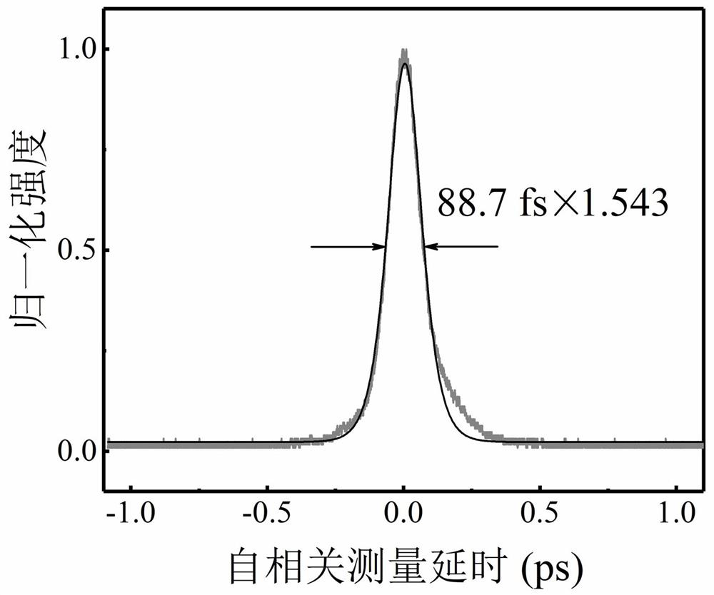 8-shaped femtosecond fiber laser