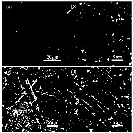 Thermal treatment process for improving deformed magnesium alloy strength