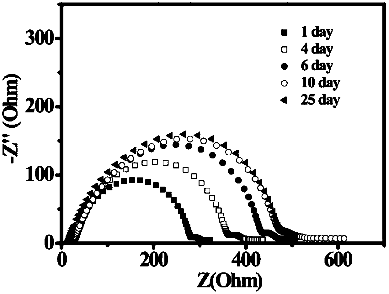 Lithium-stable succinonitrile-based solid electrolyte, preparation method and application thereof