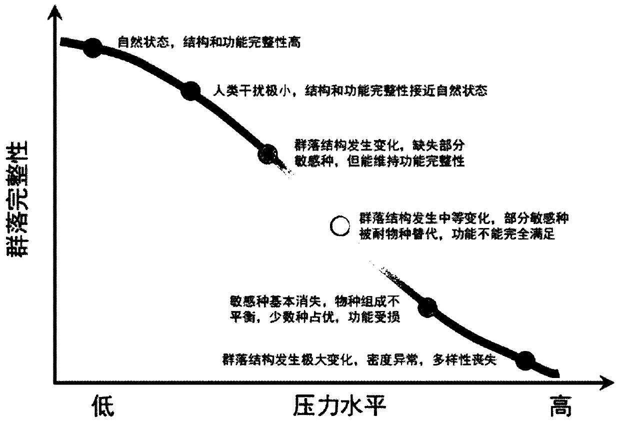 Construction method for evaluating river ecological conditions through aquatic organism community multi-parameter indexes