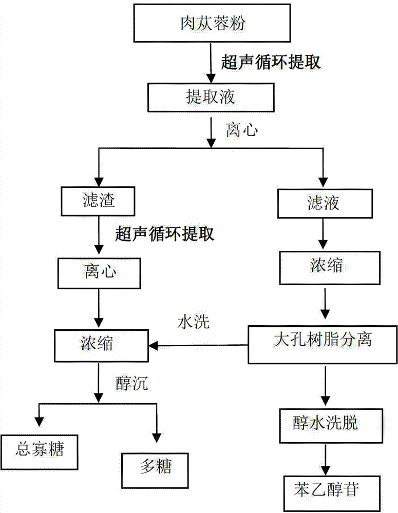 Integrated ultrasonic cyclic extracting and separating technology for cistanche functional ingredient