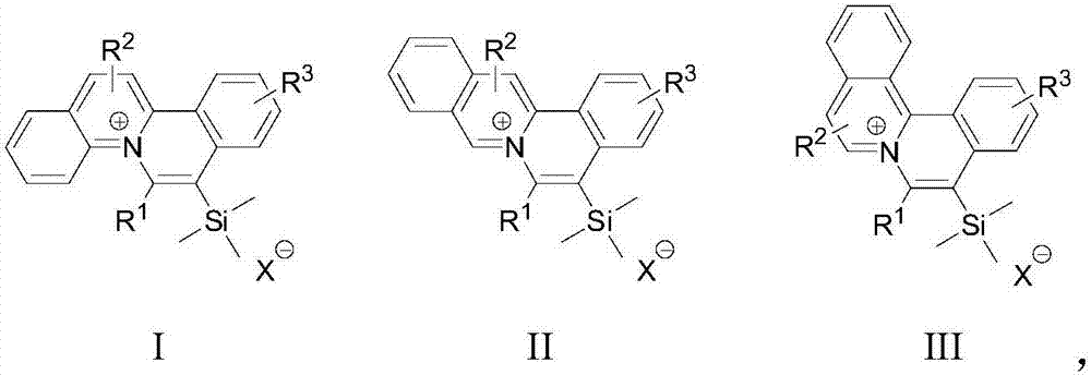 Organic dye compounds with quinolinium ion skeleton structures and preparation method and application thereof