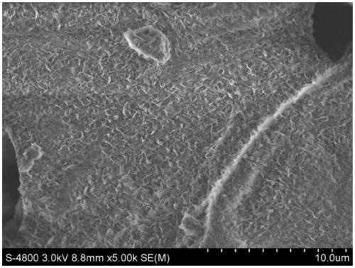 Preparation method of porous boron nitride foam material for water purification