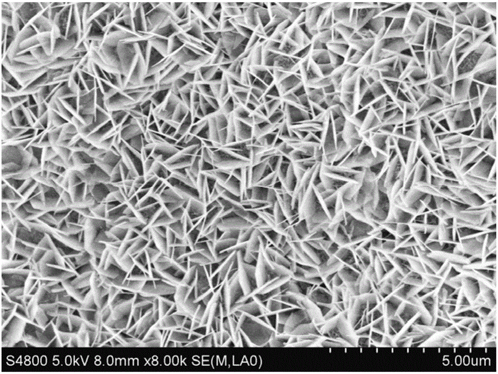 Three-dimensional nanometer porous copper/two-dimensional cuprous oxide nanosheet array type lithium ion battery negative electrode and one-step preparation method thereof