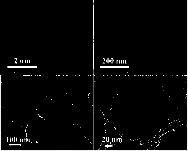 Method for in-situ synthesis of compound of rutile TiO2 mesocrystal and graphene