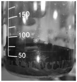 Preparation method and application of amphiphilic graphene oxide thick oil viscosity reducer