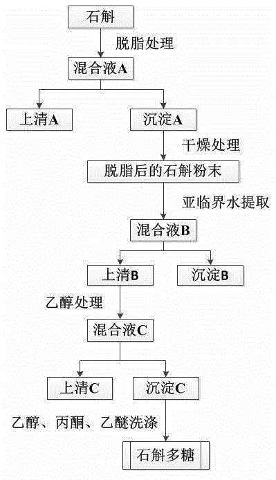 Method for extracting dendrobium polysaccharides through subcritical water