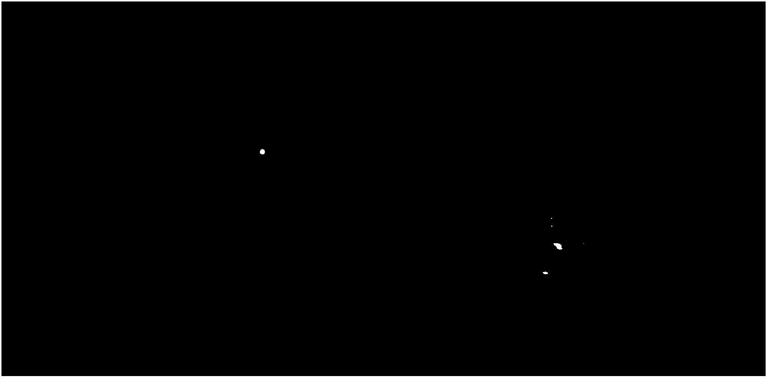 Preparation method for monophosphate-adjuvant water-soluble fluorescent carbon quantum dot solid powder