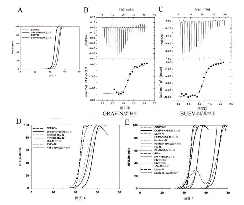 Important-protein inhibitor in severe fever with thrombocytopenia syndrome