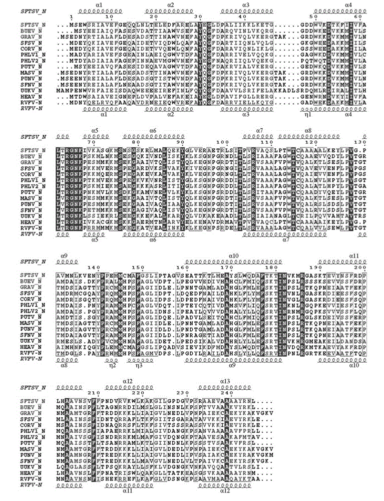 Important-protein inhibitor in severe fever with thrombocytopenia syndrome