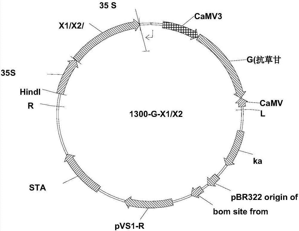 Method for preventing and controlling crop weeds