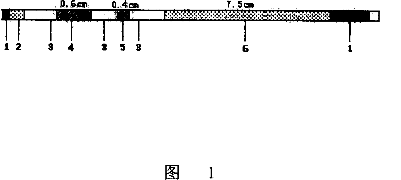 Vitrification freezing, simple defreezing and direct implanting method for embryo