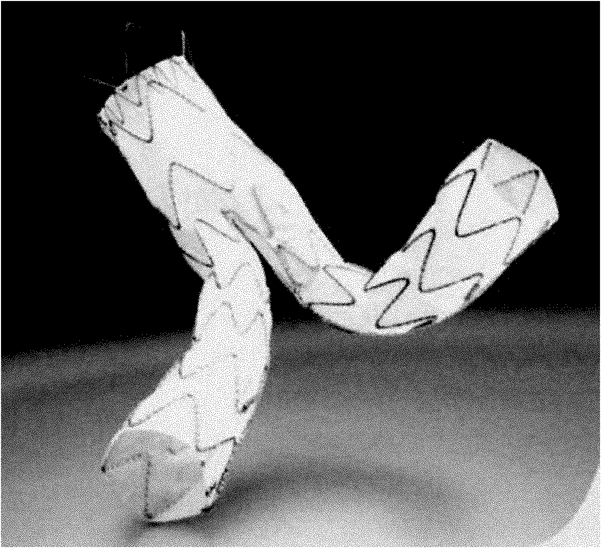 Stent vessel and dedicated traction tool for implanting stent vessel into human body