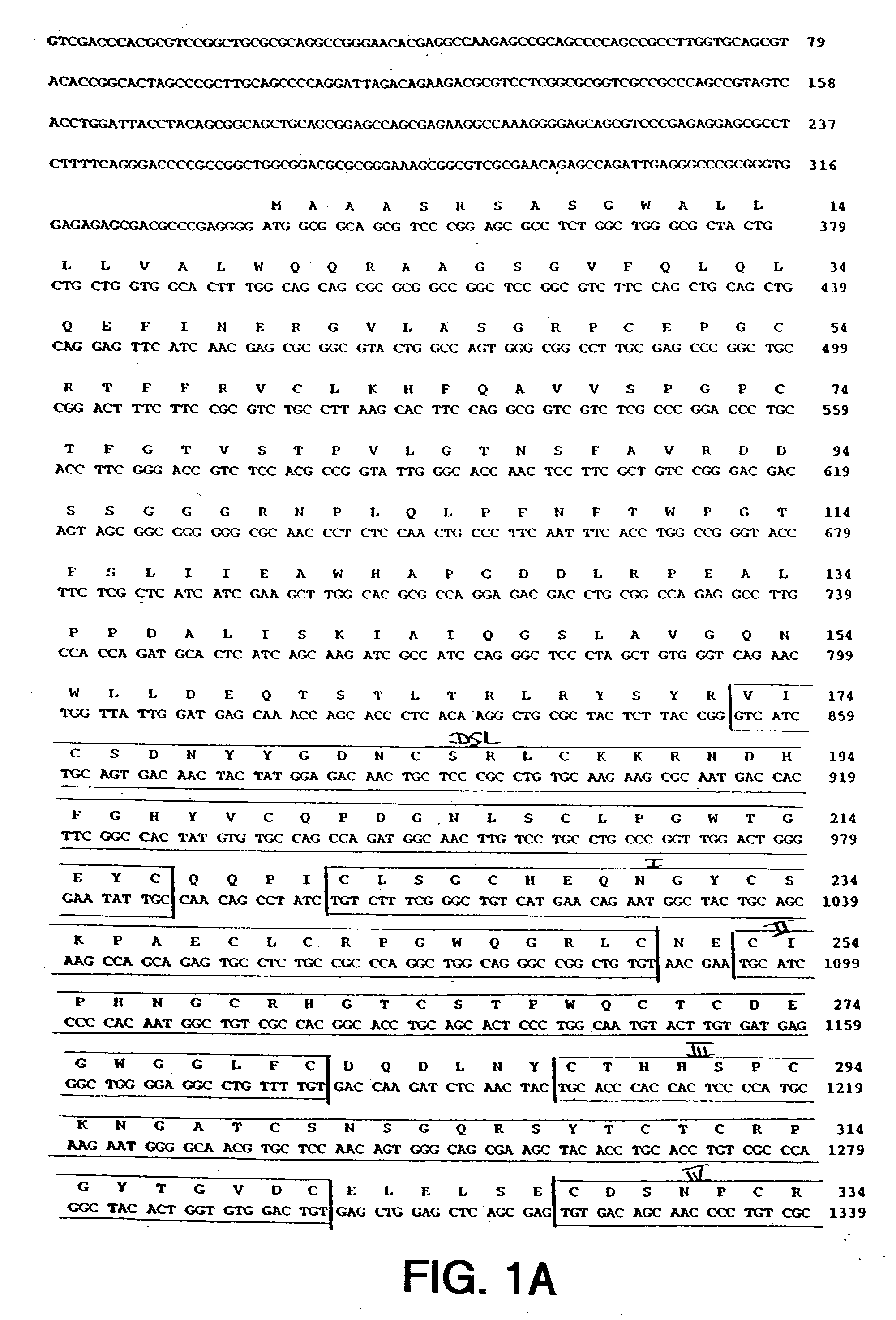 Novel human Delta3 compositions and therapeutic and diagnostic uses therefor