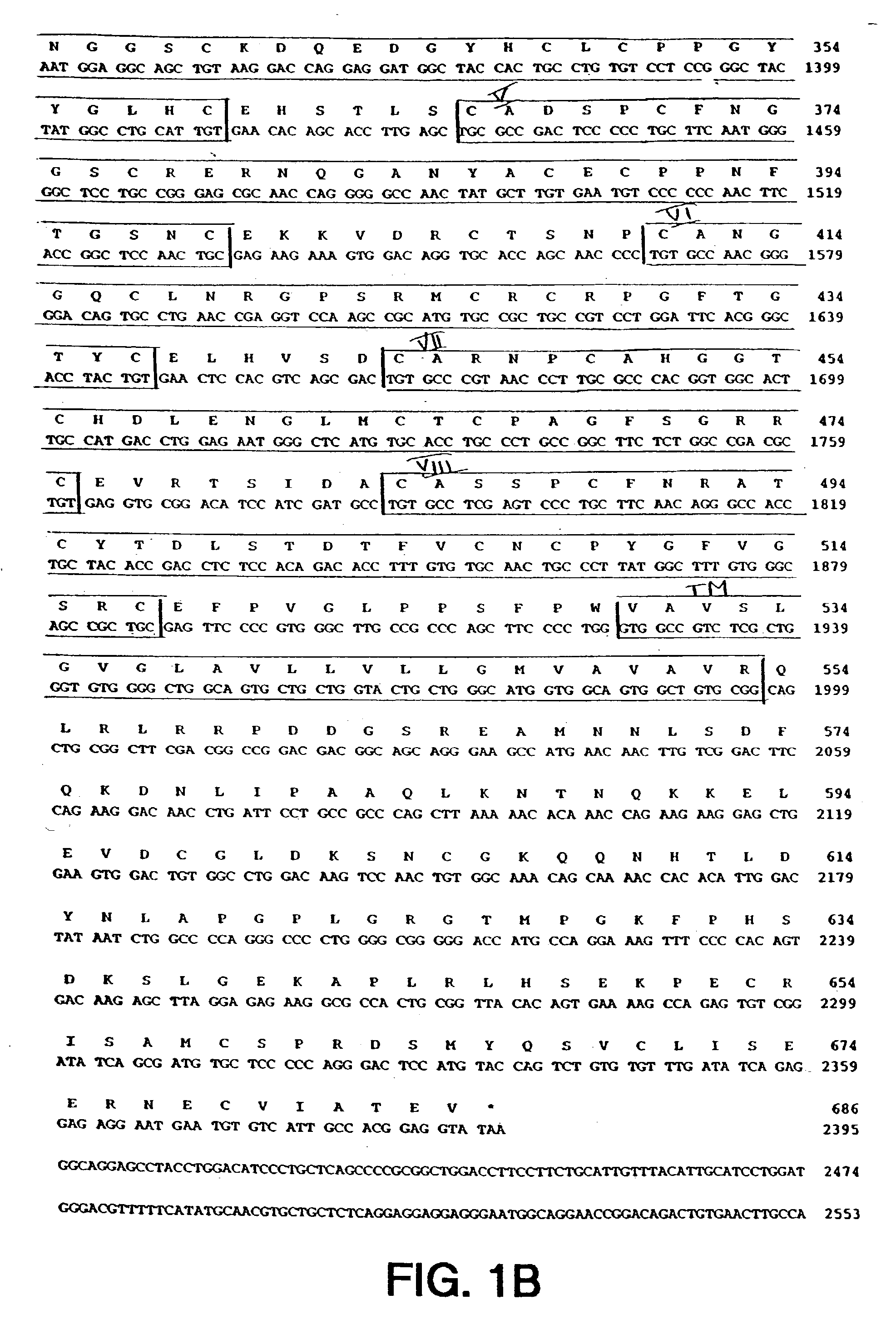 Novel human Delta3 compositions and therapeutic and diagnostic uses therefor