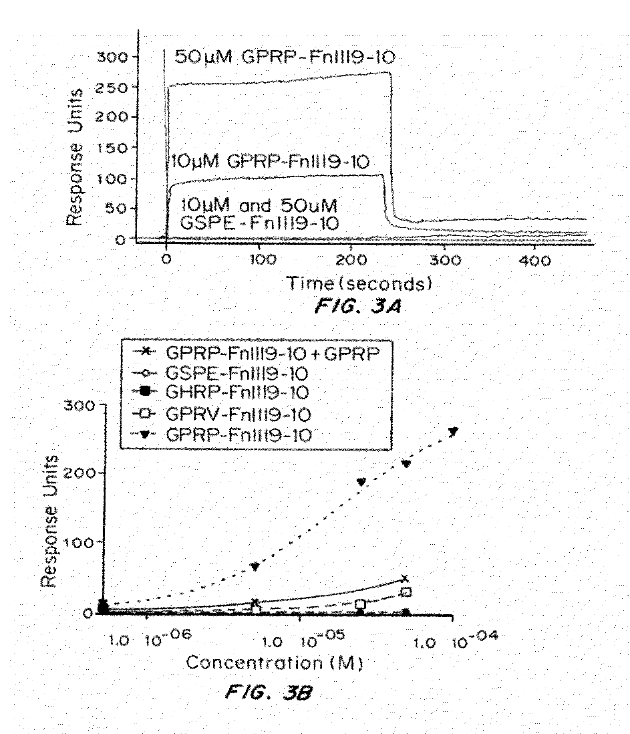 Peptides for binding fibrinogen and fibrin