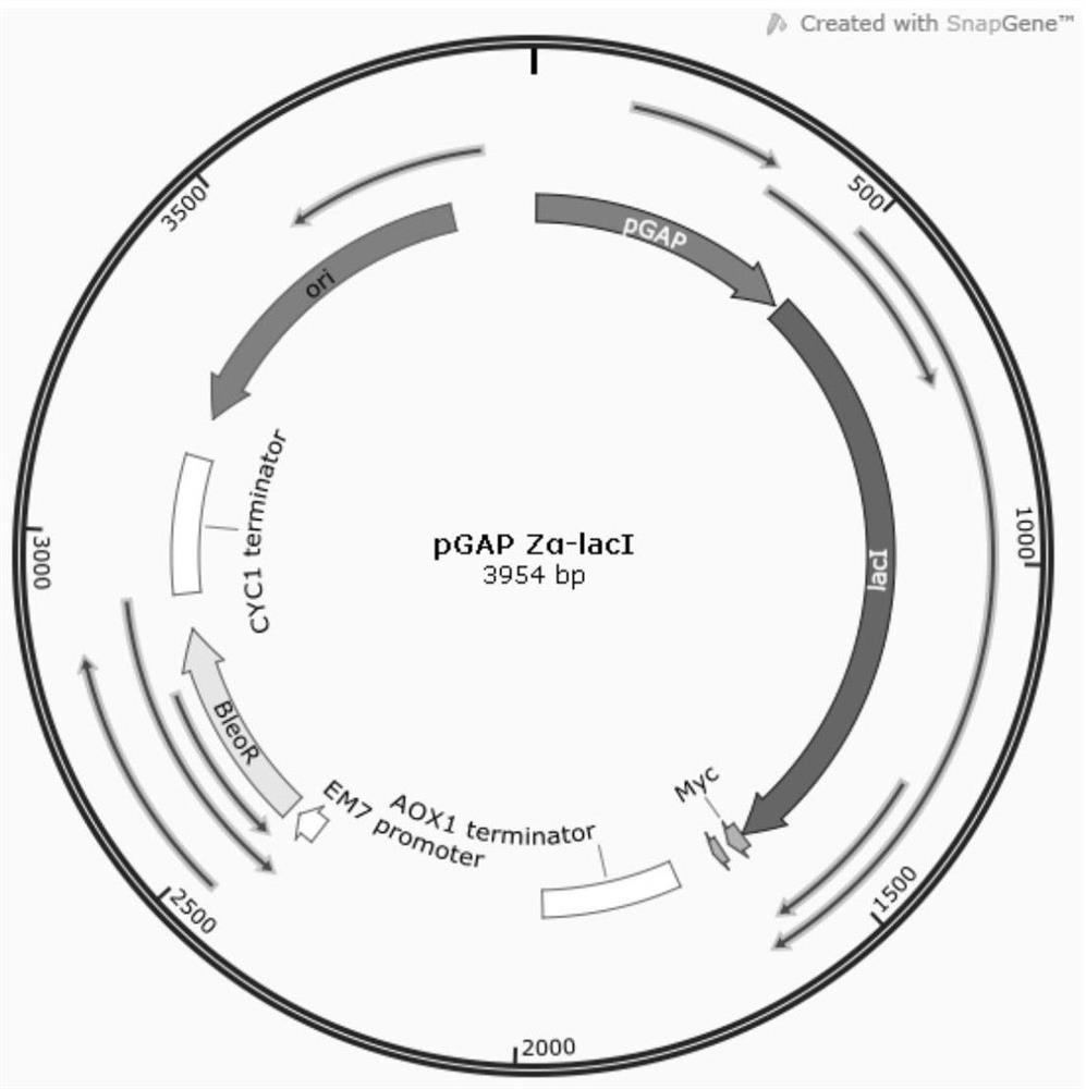 IPTG-induced tRNA element in pichia pastoris as well as construction method and application thereof