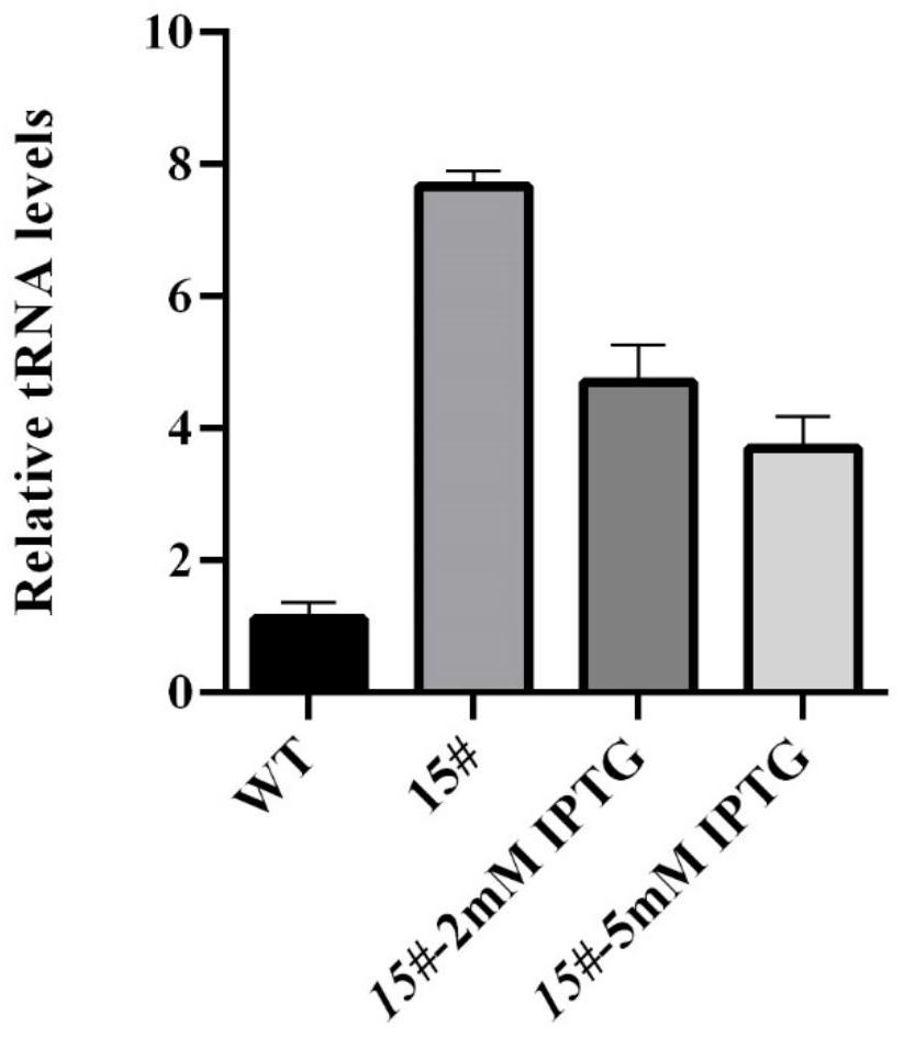 IPTG-induced tRNA element in pichia pastoris as well as construction method and application thereof