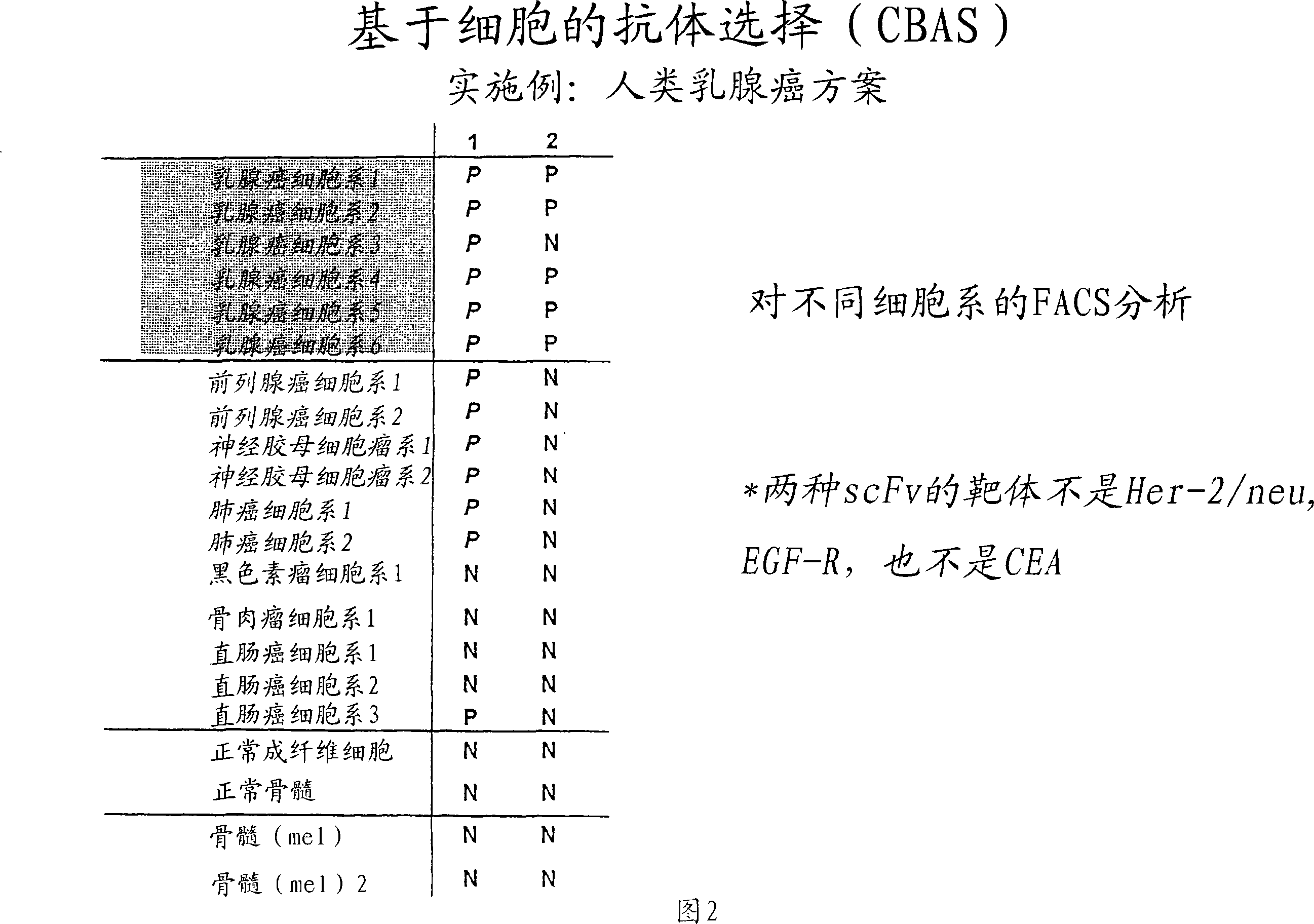 Antibody library screening method