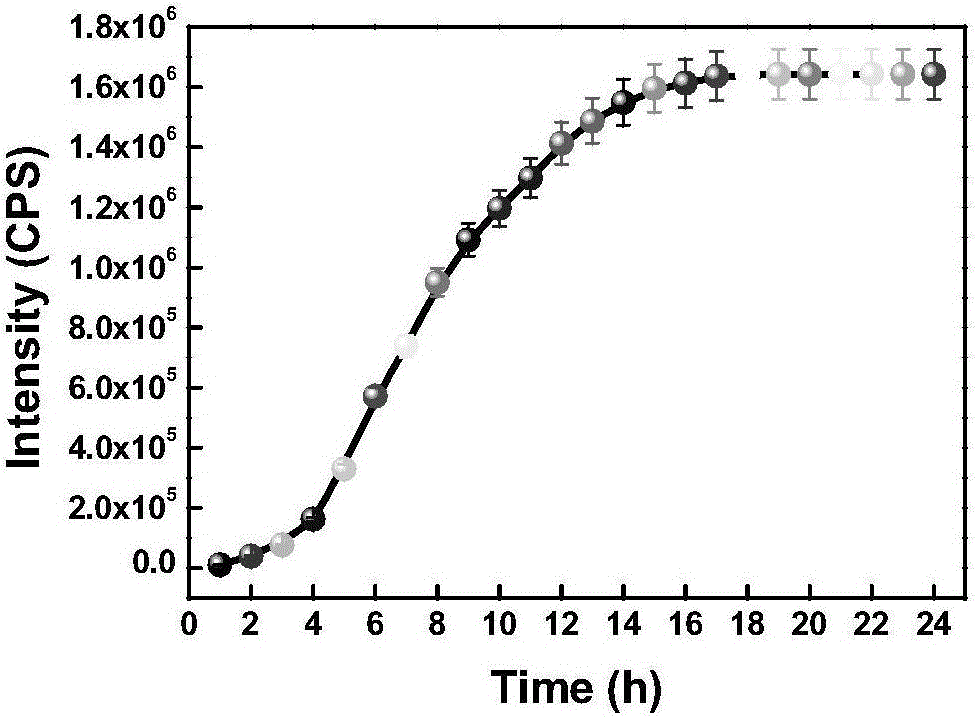 Fluorescent diagnosis and treatment reagent development for diagnosing and treating non-small cell lung cancer (NSCLC) and application of cells thereof