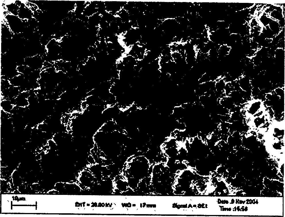 Process for preparing blended micrometer TiO2 polymer electrolyte