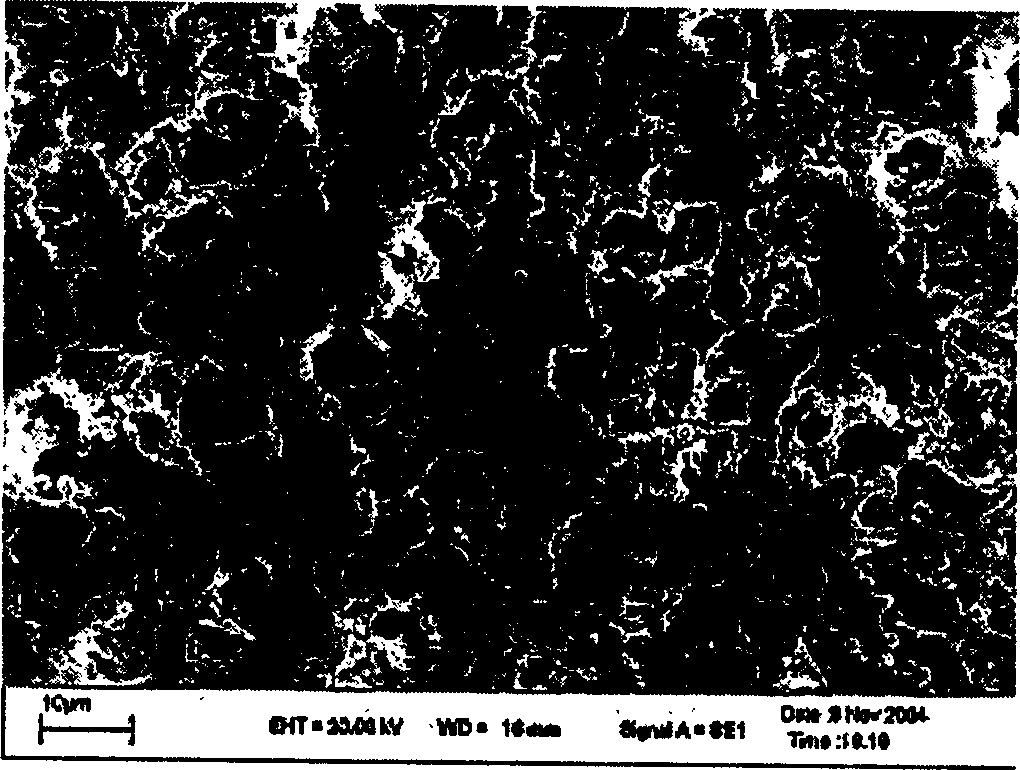 Process for preparing blended micrometer TiO2 polymer electrolyte