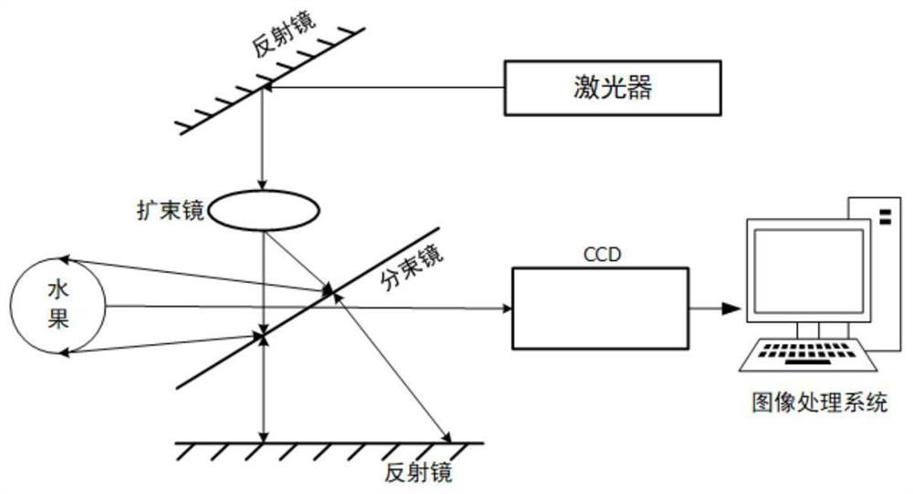 Apple nondestructive testing method combining laser speckle and Kmeans clustering algorithm