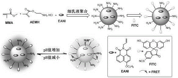 A water-dispersible fluorescent polymer nanoparticle with pH value and mercury ion ratio detection function, preparation method and application