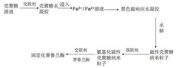 Method for fixing pullulanase with chitosan magnetic nanoparticles