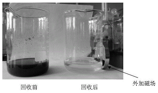 Method for fixing pullulanase with chitosan magnetic nanoparticles