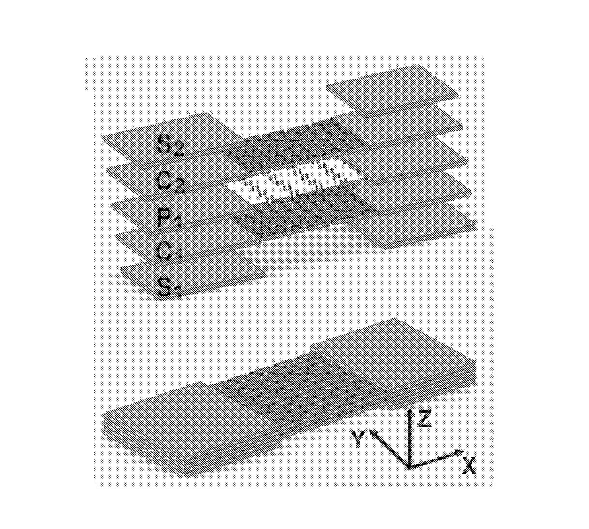 Micro-structured biomaterials and fabrication methods therefor